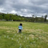 m_cerros